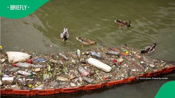 Lawyer faces possible prison sentence after cleaning polluted river without a permit