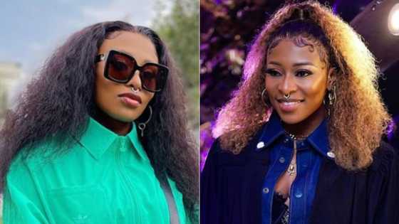 DJ Zinhle's, hit song 'Indlovu' bags SAMA award nomination, musician celebrates on Social Media with ecstatic fans