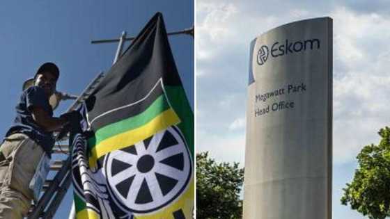 European investors thinking twice about coming to South Africa because of the ANC and Eskom