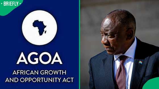 Cyril Ramaphosa urges South Africans to brace for loss of AGOA, South Africans debate his warning