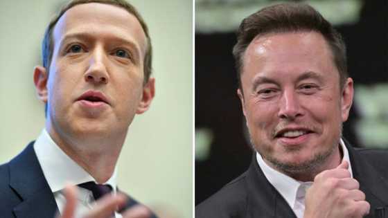 Musk says his cage fight with Zuckerberg will stream on X
