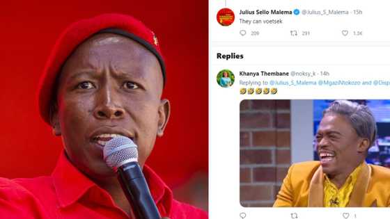 Malema tells KZN judges to 'voetsek', Mzansi responds