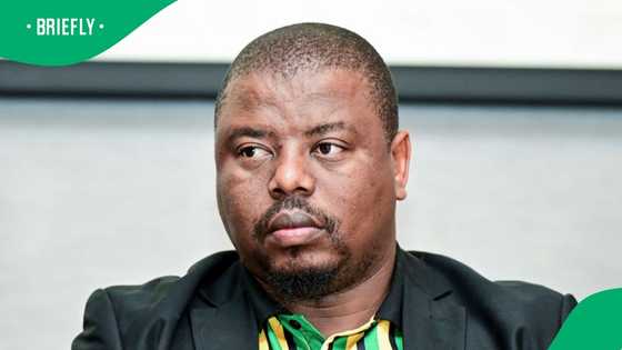 KwaZulu-Natal MEC of Education embroiled in food nutrition scandal