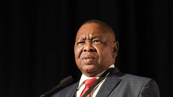 Blade Nzimande age, wife, qualifications, contacts, speech