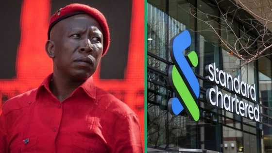 Julius Malema demands faces behind 28 banks in rand manipulation scandal be revealed, SA backs EFF leader