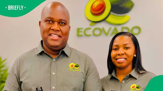 Limpopo couple turns unwanted avocados into award-winning business success