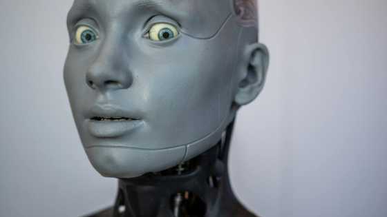 Rise of the robots: UN tries to tackle 'mind-blowing' growth of AI