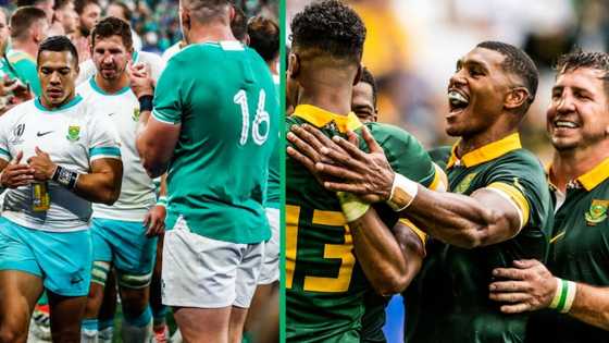 Rugby World Cup: Nienaber says Springboks can still bring trophy home, SA suggests changes