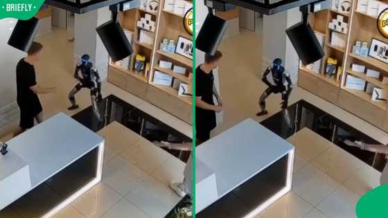 “Funny till it’s not”: Humanoid robot fights back after man pushes it, sparking concern