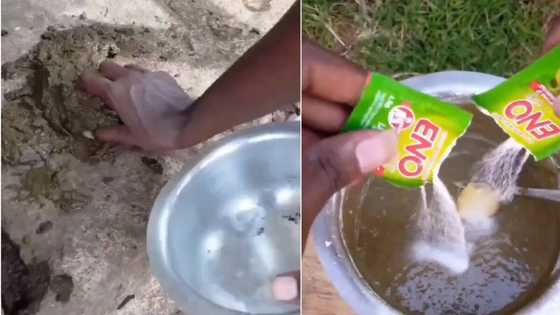 Man's "African" pancakes using cow poop in bizarre video leaves Twitter users disgusted and puzzled by recipe