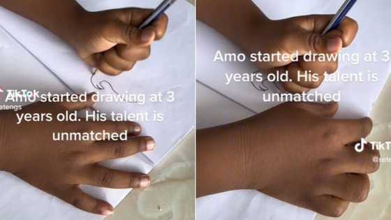 Left-handed Mzansi toddler drawing since 3 completes elephant sketch in 30 seconds, TikTok with 1.8M view impresses SA