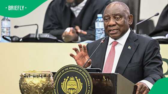 RISE Mzansi's Makashule Gana elected as chairperson of impeachment committee