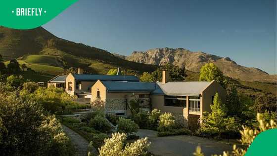 South Africans embraced immersive wine estate travel over traditional holidays