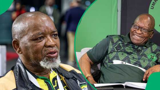 Gwede Mantashe blames Jacob Zuma and MK Party for ANC's poor showing during national elections