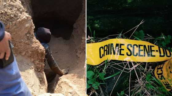 21 Zama zamas found dead near Krugersdorp mine, police suspect 19 bodies were moved after mining accident