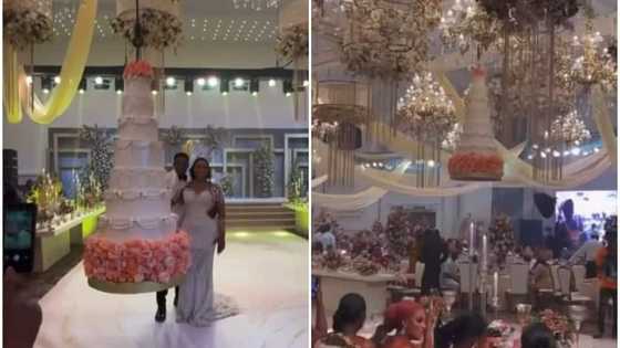 See packaging: Guests cheer as wedding cake descends from 'Heaven' for couple to cut, video stirs reactions