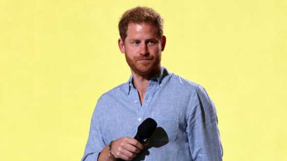 Prince Harry to publish memoir, set to be 'hugely damaging' to the royal family