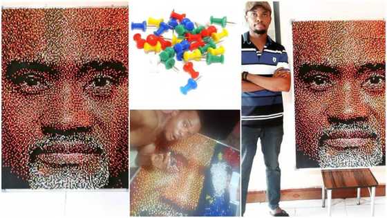 Talented man uses 15 000 office pushpins to create beautiful artwork, gets massive response