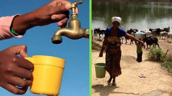 Eastern Cape community shares drinking water with animals in unprecedented situation