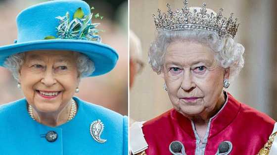 Queen Elizabeth II: ActionSA, DA and IFP pay their respects to the beloved British monarch