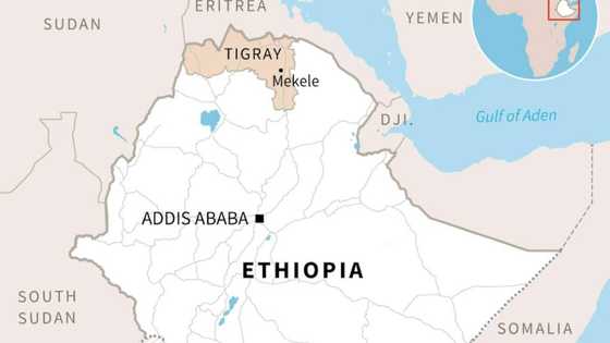 10 killed in twin air strikes on Ethiopia's Tigray: hospital