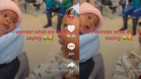 Cuteness overload as 2 infants chat up a storm in video, Mzansi tries to figure out what they're saying
