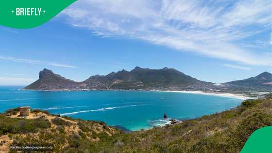 "Flights are high": Costs of flying from Joburg to Cape Town vs Durban vs PE