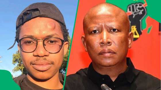 Julius Malema wants blogger Musa Khawula jailed or fined R150 000
