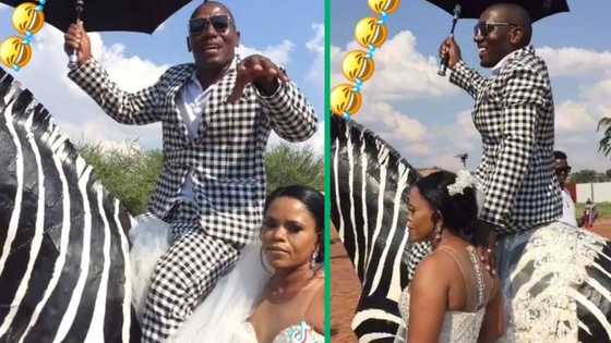 Flamboyant groom on zebra statue steals the spotlight from his bride in TikTok video