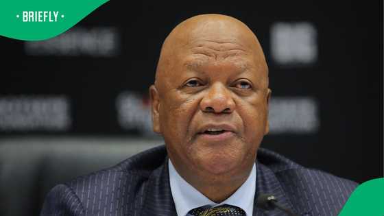 Jeff Radebe dismisses possibility of unrest if Nhlanhla Mkhwanazi is punished, Mzansi doesn't agree