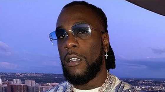 DStv Delicious Festival with music giant Burna Boy leaves Mzansi unhappy: "Greedy and sold too many tickets"