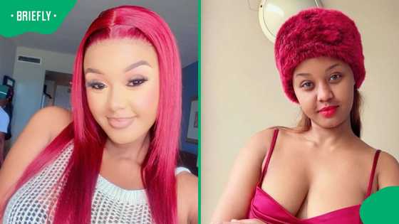 Babes Wodumo's revealing attire causes a stir, SA reacts: "Shimora is not happy about this"