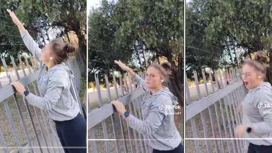Young lady touches electric fence and sufferers a nasty shock in funny video, Mzansi cracks jokes at her stunt