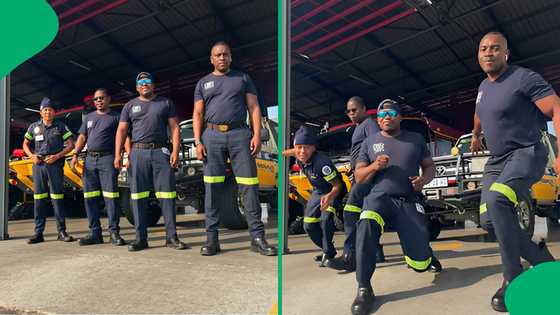 "Marital status, please": Gauteng firefighters charm SA women with viral dance video