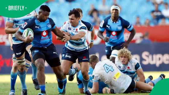 Veteran Springbok walks away from rugby after difficult decision