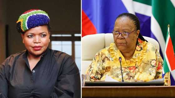 Florence Masebe, Thula Sindi and Felicia Mabuza-Suttle slam Naledi Pandor for negative comments about the arts