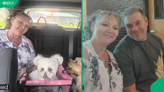 “Are they African American now?”: SA refugees reunite with pet in US, Mzansi reacts
