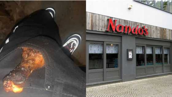 Are skaftins extinct: Nando's asks man with drumstick in his pocket