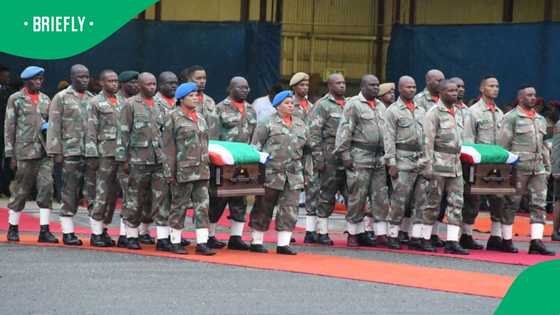 Limpopo family mourns breadwinner among 14 SANDF soldiers killed in DRC