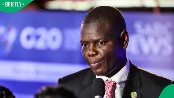 Ronald Lamola condemns attacks on foreign nationals, South Africans criticise minister over comments