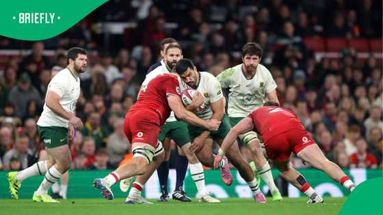 DStv scores big as rugby giants align for blockbuster 2026 coverage