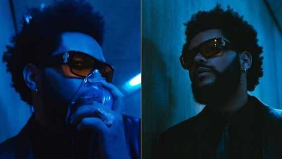 The Weeknd's 'Blinding Lights' becomes Billboard Hot 100's longest charting song
