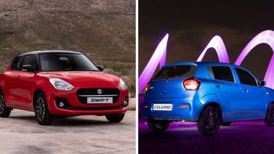 Suzuki's brilliant Swift helps carmaker soar to over 4 600 sales in June