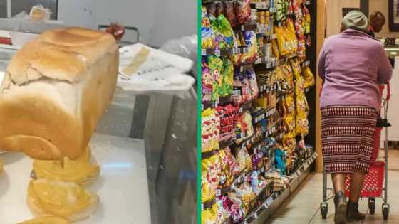 TikTok video of SPAR in Dobsonville gets 1M views, store takes actions after viewers spot cockroach on food