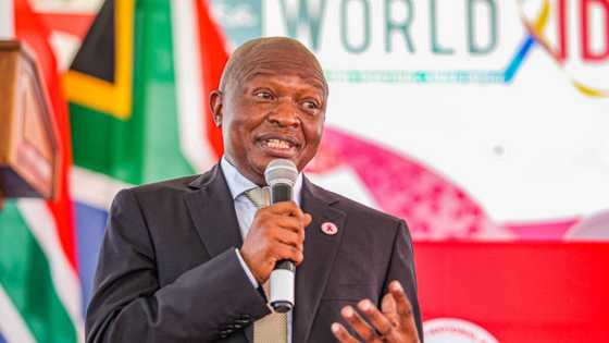 Deputy President David Mabuza says SA healthcare system is strong after receiving medical treatment in Russia