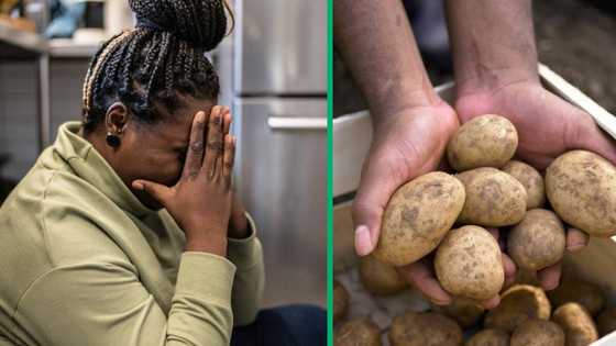 South African citizens panic over paying R247 for 10kg potatoes: “The price of food is crippling”