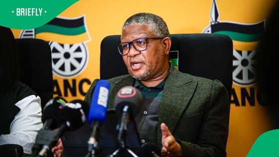 Fikile Mbalula defends General Nhlanhla Mkhwanazi's uniform during explosive presser