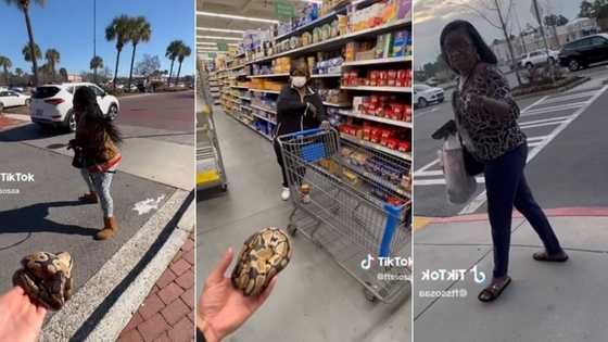 TikTok prank of man pretending to hand over pet snake to strangers goes TikTok viral with 1.6M views
