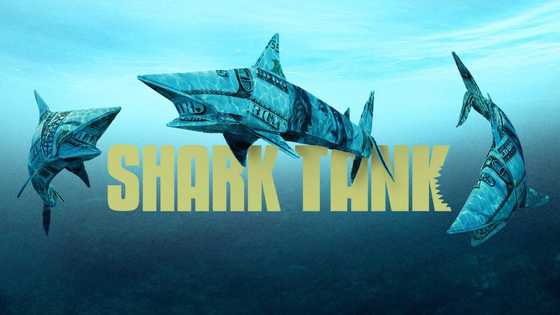 Who are Shark Tank's cast? Names, pictures, children, net worth