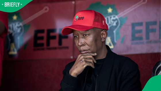 Malema wants Paul O’Sullivan, Brown Mogotsi to appear in person before Ad Hoc Committee, SA agrees